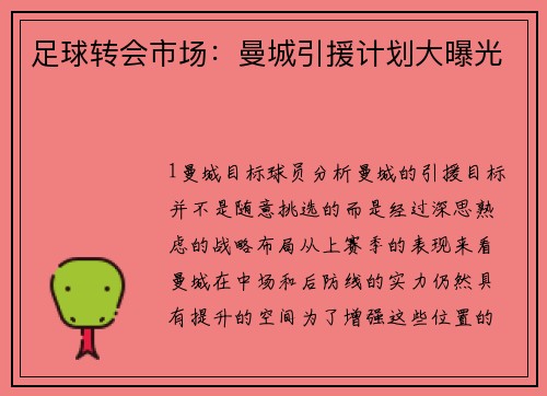 足球转会市场：曼城引援计划大曝光